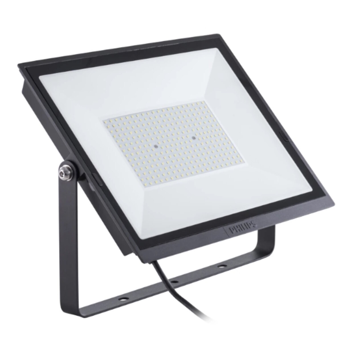 Reflector Proyector Philips Miniflood Led 30w Luz Fria